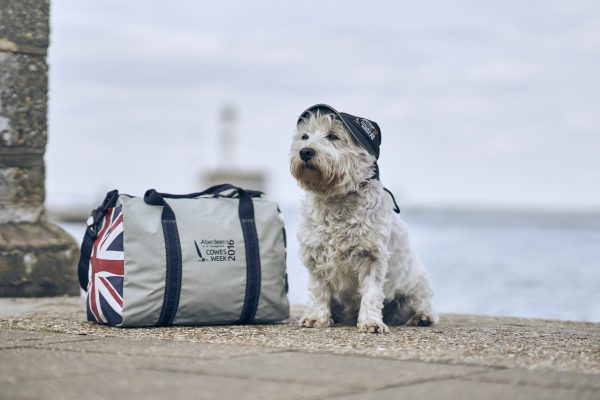 bertie cowes week 2016 mascot