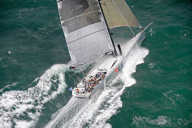 Leopard competing in a race