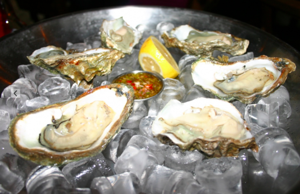 The Coast Bar Oysters